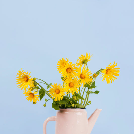 Comment entretenir et nettoyer efficacement ses vases ?